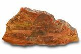 Colorful, Polished Petrified Wood (Araucarioxylon) - Arizona #371649-1